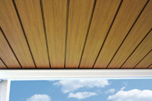 Under Deck Roof Alpharetta GA